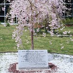 9-11 Living Memorial