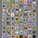 April 1st, 2015 Scout 006