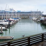 San Francisco Pier 39 en2016 (17)
