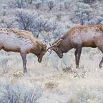 Emulating the Big Boys 3