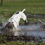 Mud bath