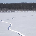 Eastern morning, -17˚C