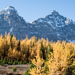 Larch Valley, Banff National Park, Alberta