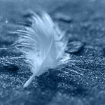 beauty in its purest form