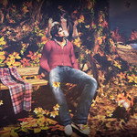 Fall is finally here