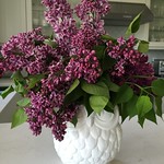 Lilacs from my garden 2...