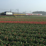 NMBS 2844 With Benelux train at Sassenheim, April 24, 2015