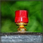 Don't Press That Button...