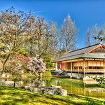 Ceremony house in the Japanese garden of Hasselt