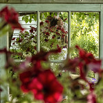 Good morning, sunshine!