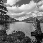 Loch Eck 20150502-4