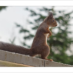 I'm not the Easter bunny!