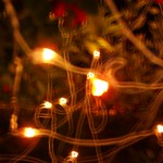 lights camera action