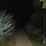 scary path down Lykavittos hill