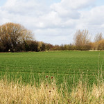 WPG 12 month challenge march 18