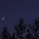 Moon and Venus
