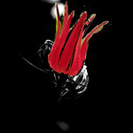darkred