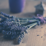 Lavender time