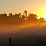 Sunrise and mist