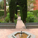Alcazar Seville Gardens