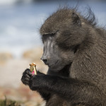 Have a break, have a ... Twix