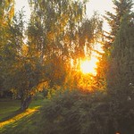 Sunrise in my garden