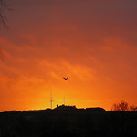 Daybreak Over the Fortress