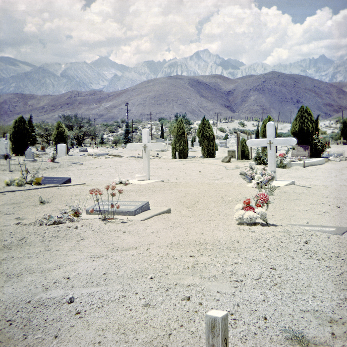 Spanning Generations Ii Frieze