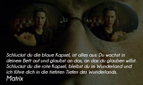 Die Coolsten Filmzitate Aller Zeiten: Make My Day! (Zum Mitmachen) 285_x_480_png