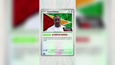Homeland Security ridiculed online over video comparing migrants to Pokémon