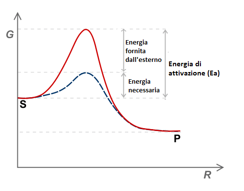 Energia Di Attivazione: Spiegazione E Grafico 395_x_504_png