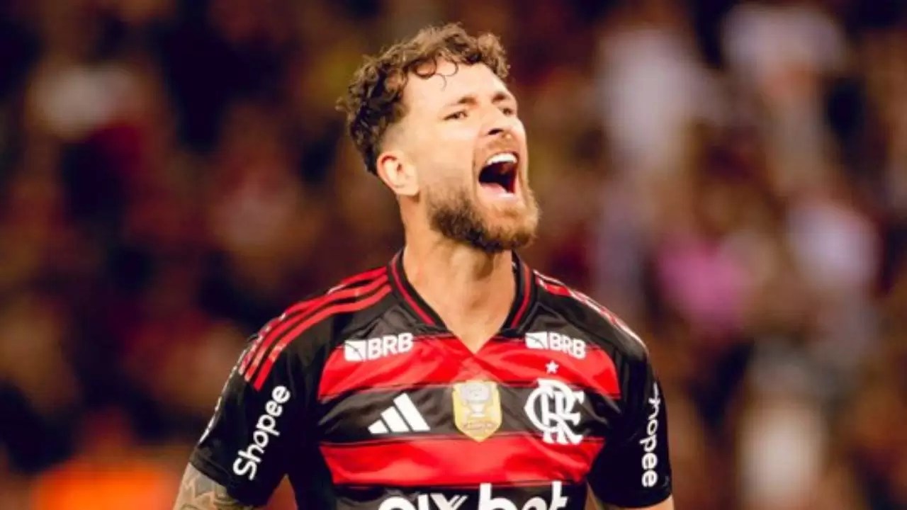 Ercilia micarelli nude