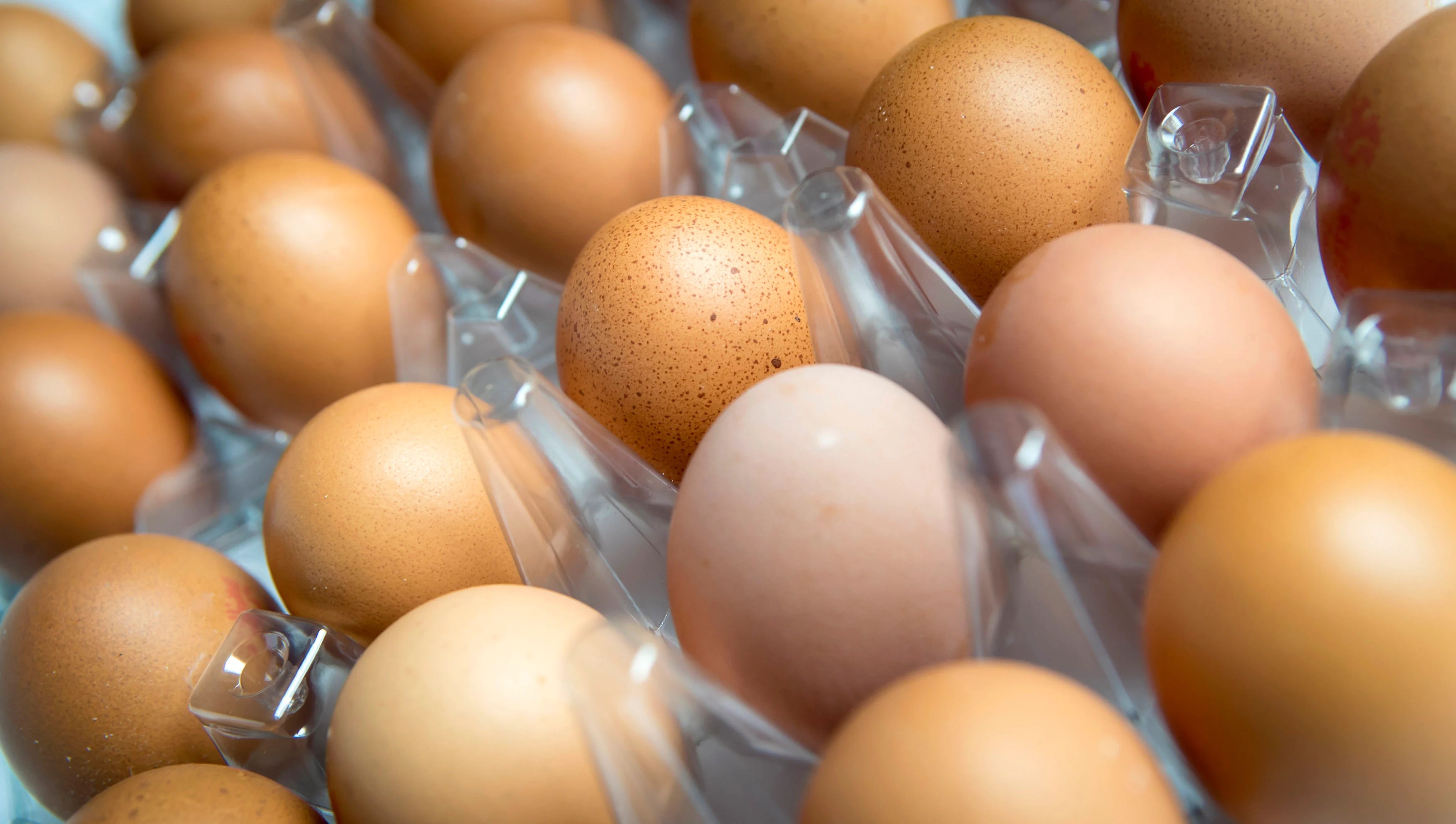 One dead and hundreds ill in UK salmonella outbreak as London suffers highest number of cases