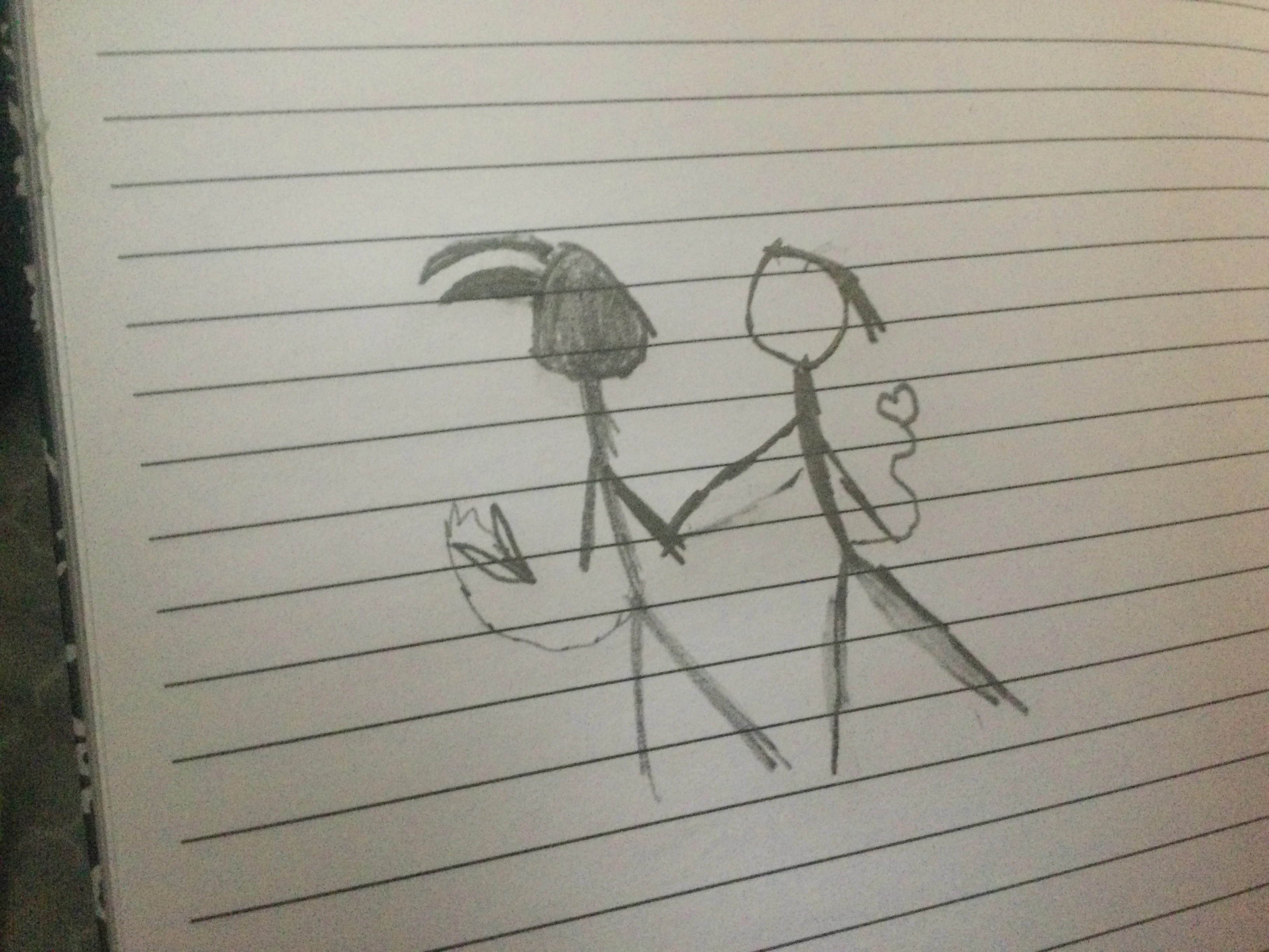 Zeros And Trish Stick Figure Version [Massive Cringe Warning] | Fandom 2448_X_3264_jpg
