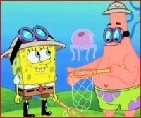 Medusas Bob Esponja Wiki Fandom