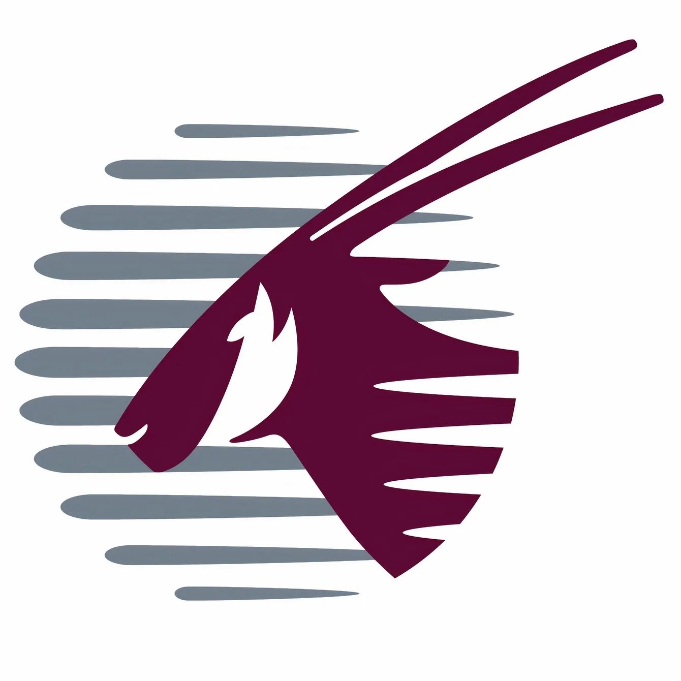 21-Hour Flights: Doha Information Airlines Launches New Longest Course Subsequent Month [Map]