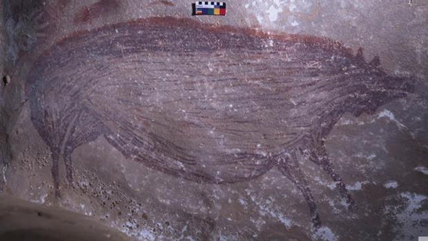 Un Jabali La Primera Obra Figurativa Pintada Por La Humanidad