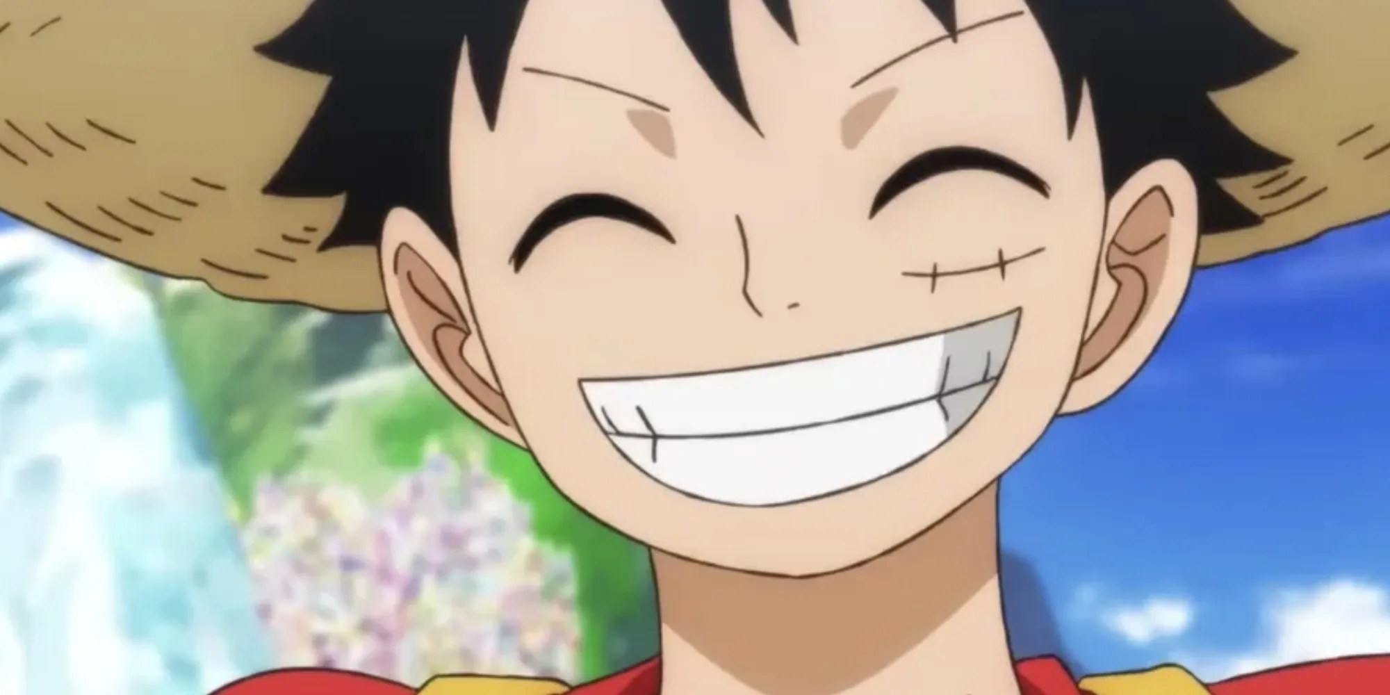 luffy net worth - Ilustrasi 2