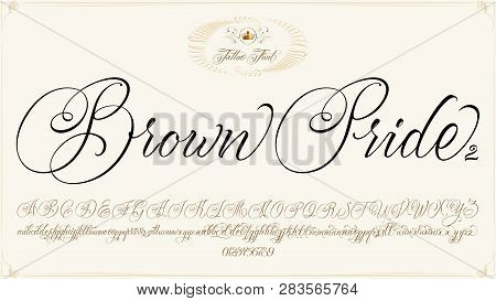 Brown Pride - Updated Vector & Photo (Free Trial) | Bigstock 273_x_450_jpg