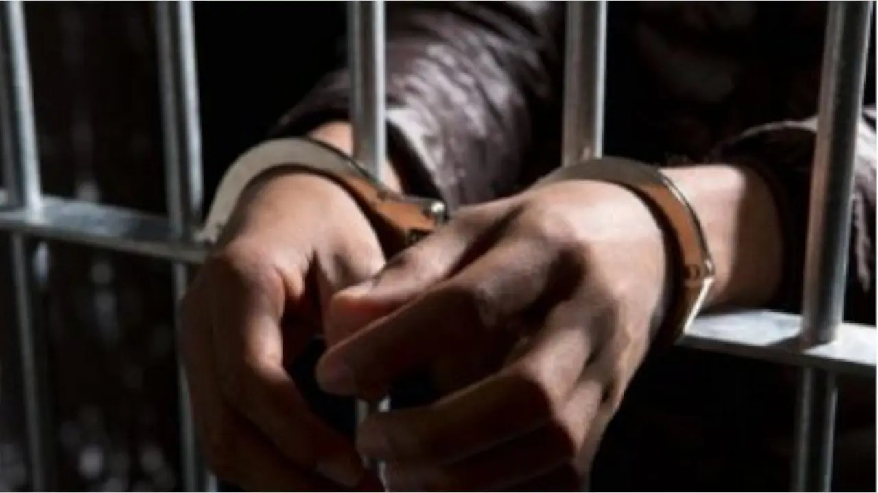 A palos, disparos y hambre: tres condenados por atroces casos de maltrato animal en tres departamentos