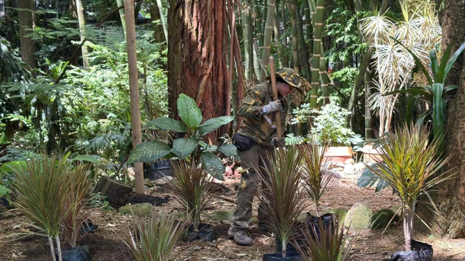 The Town is transformed! More than 847,000 square meters of public space recovered in Commune 14