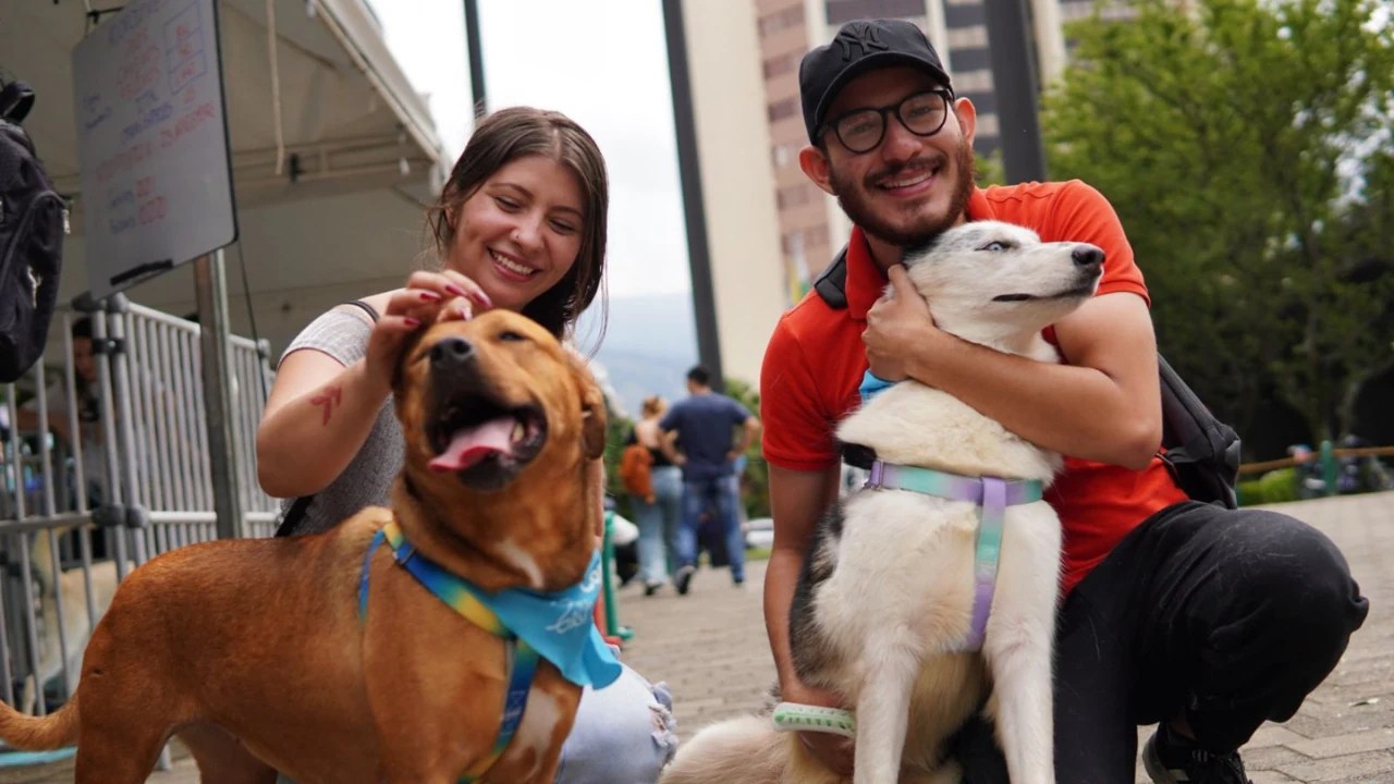 Medellín realizará la Adoptatón Mundialista/Min30