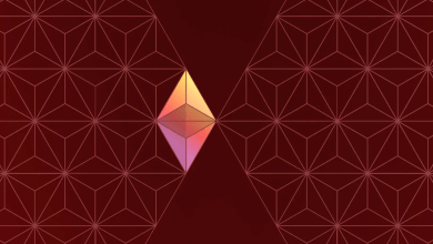 Allocation Update Q3 2022 ⋅ Crypto World Echo