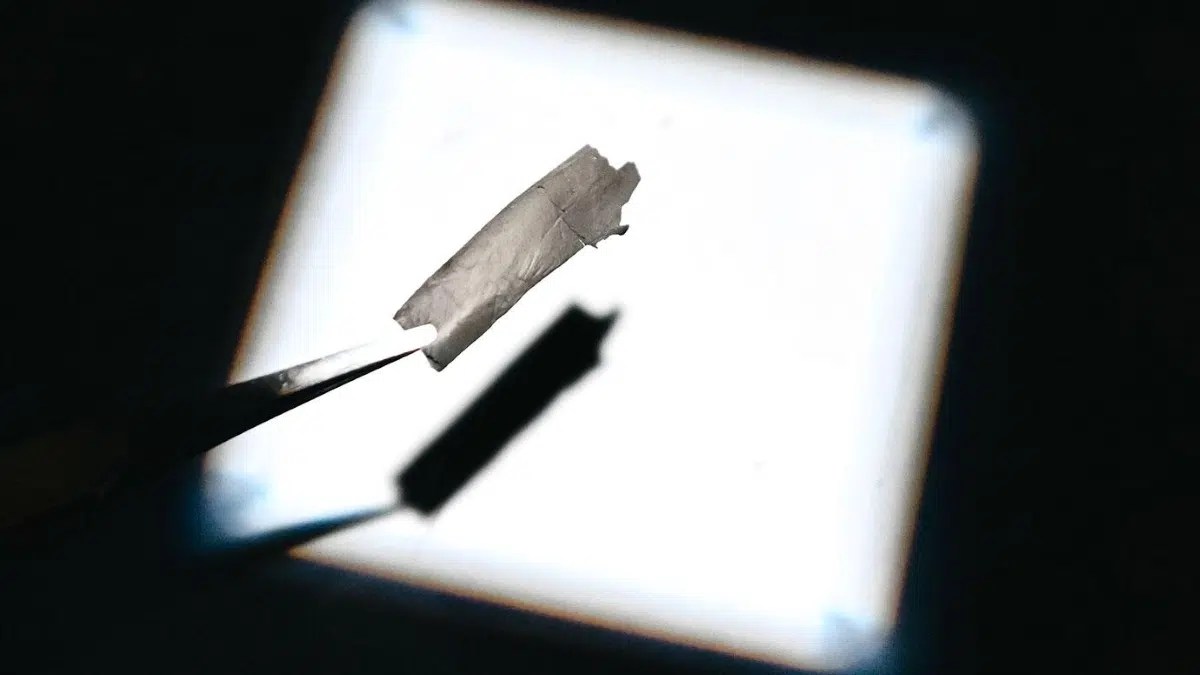 Filtros de nanofibra transformam a ventilação predial em uma aliada climática para capturar CO₂ em larga escala