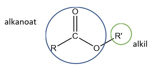 Turunan Alkana - Tanya MIPI