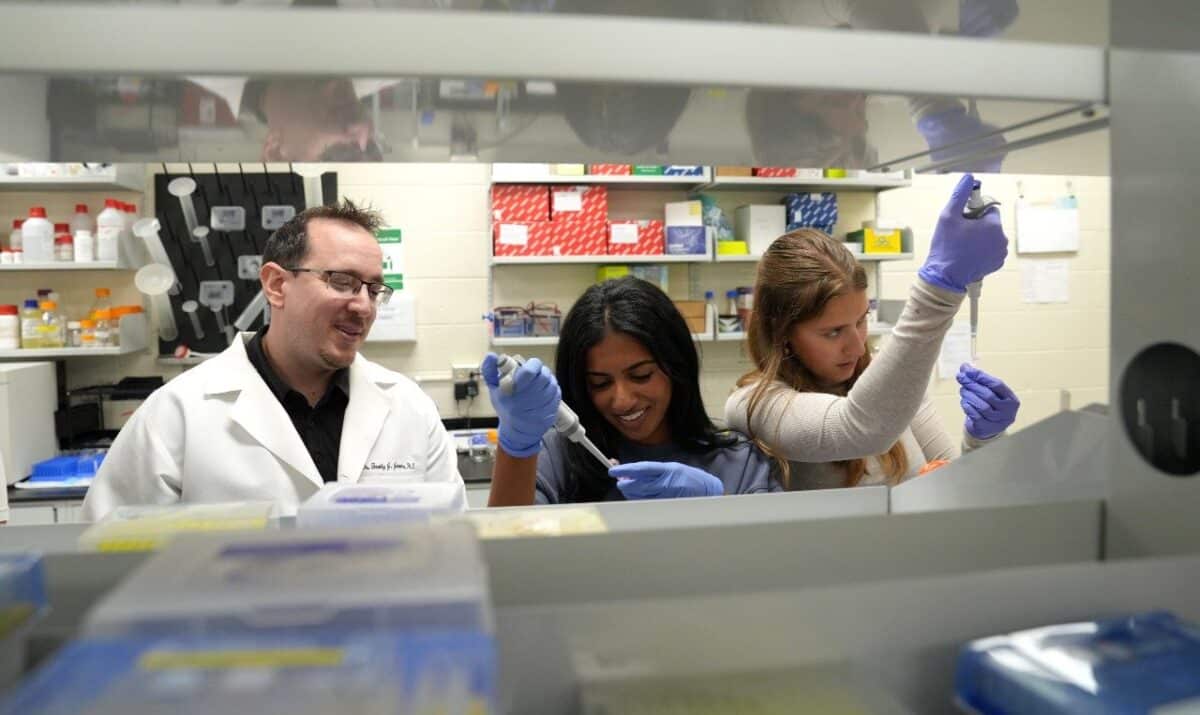 Can Obesity Make the Brain Age Faster?