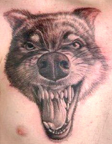 20 Best Wolf Tattoo Designs With Meanings | Styles At Life 492_x_383_jpg
