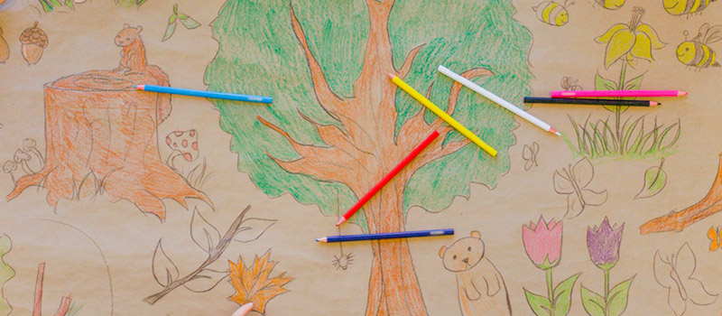Educazione Ambientale, Quando La Sostenibilità Si Impara Fin Da Bambini - Sustainability Award 350_x_800_jpg