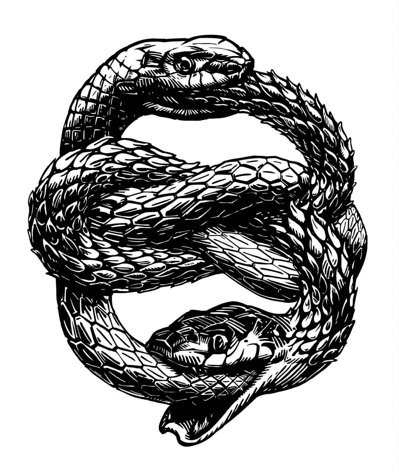 All 32+ Pictures what is the symbol of a snake eating its tail Superb