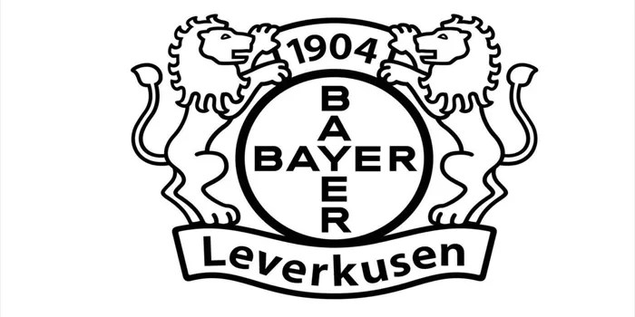 Bayer Leverkusen vs FC Heidenheim – Pekan ke-11 Bundesliga 23/11/24